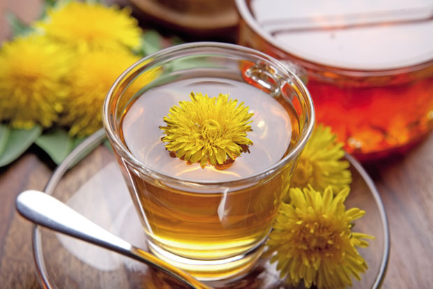 Лековита природа: Маслачак јача организам 